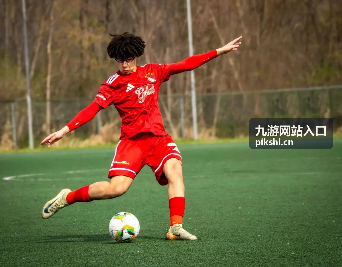 星耀战队使用九游网站入口案例