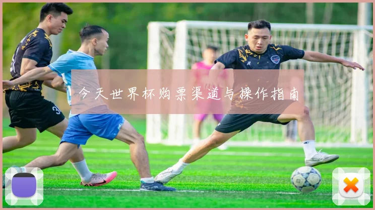 今天世界杯购票渠道与操作指南