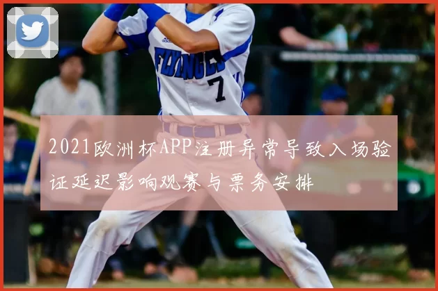 2021欧洲杯APP注册异常导致入场验证延迟影响观赛与票务安排