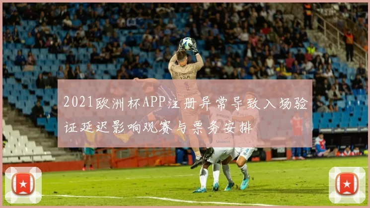 2021欧洲杯APP注册异常导致入场验证延迟影响观赛与票务安排